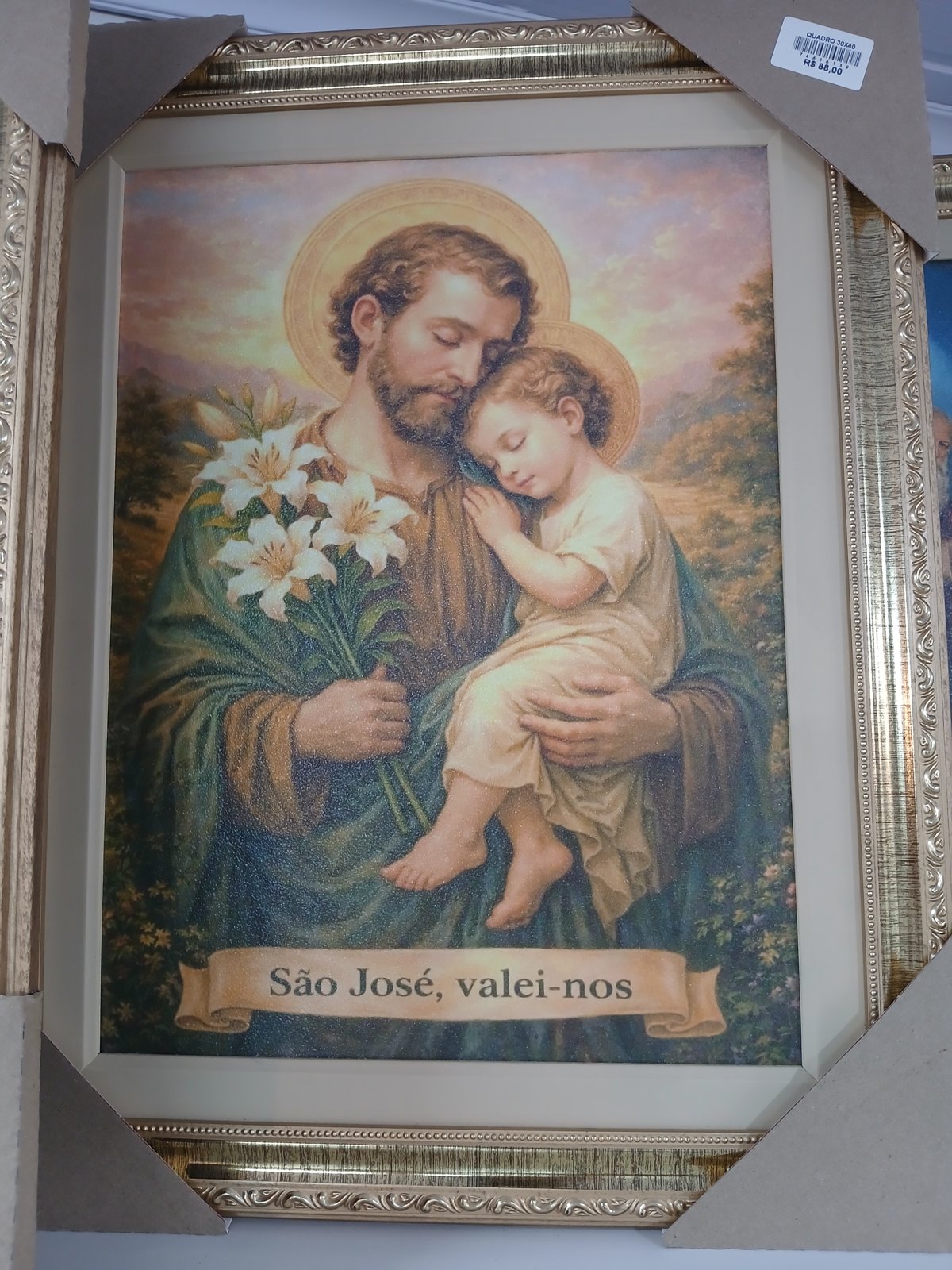Quadro São José, valei-nos
