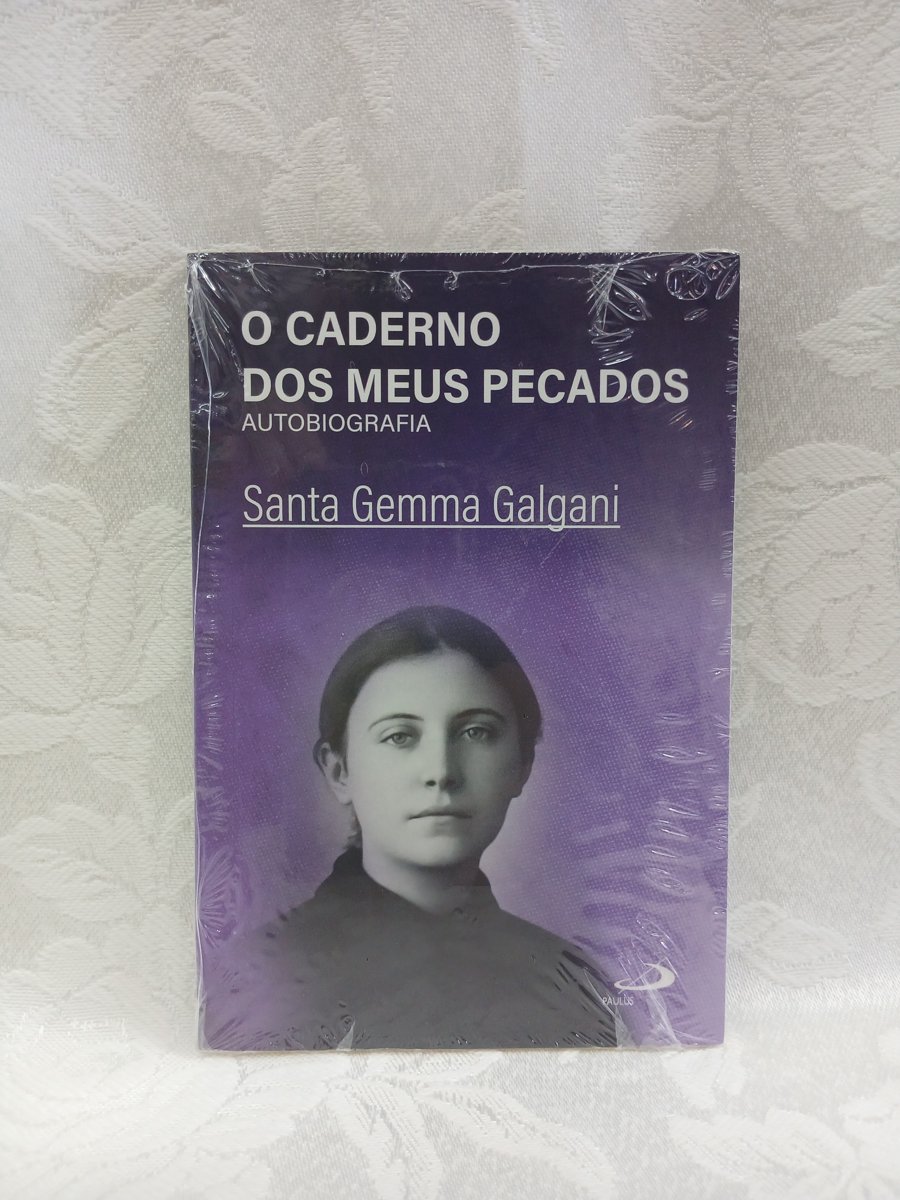 O caderno dos meus pecados (bolso)